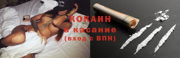 гашик Белокуриха