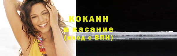 гашик Белокуриха