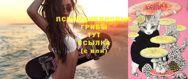 гашик Белокуриха